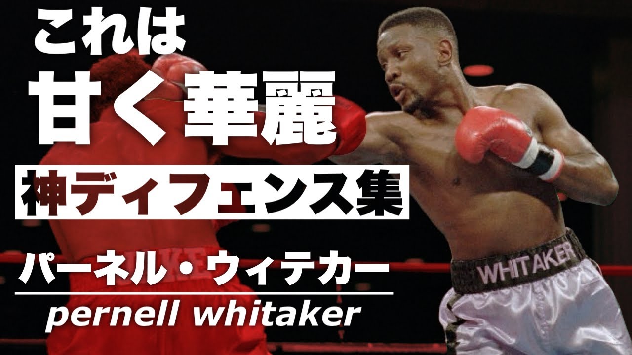 パーネル・ウィテカーの参考にならないディフェンス集